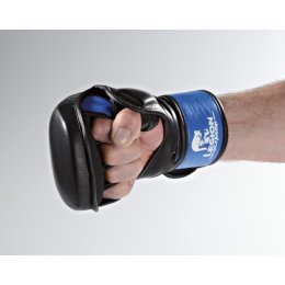 LEGION OCTAGON MMA Handschuhe Sparring