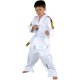 Kwon Taekwondo Anzug Tiger