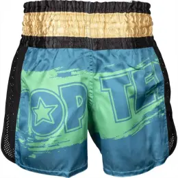 Kickbox-Shorts „Power Ink“