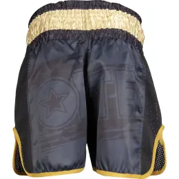 Kickbox-Shorts „Power Ink“