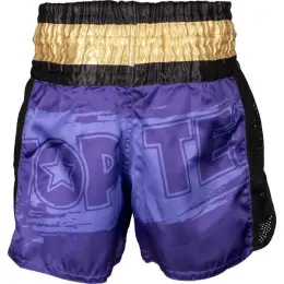 Kickbox-Shorts „Power Ink“