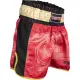 Kickbox-Shorts „Power Ink“
