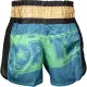 Kickbox-Shorts „Power Ink“