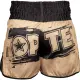 Kickbox-Shorts „Power Ink“