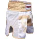 Kickbox-Shorts „Power Ink“
