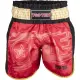 Kickbox-Shorts „Power Ink“