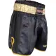 Kickbox-Shorts „Power Ink“
