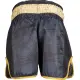 Kickbox-Shorts „Power Ink“