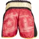Kickbox-Shorts „Power Ink“