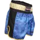 Kickbox-Shorts „Power Ink“