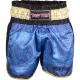 Kickbox-Shorts „Power Ink“