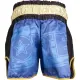 Kickbox-Shorts „Power Ink“