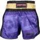 Kickbox-Shorts „Power Ink“