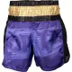 Kickbox-Shorts „Power Ink“