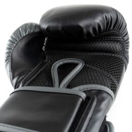 Everlast Powerlock 2r Training Glove, Black