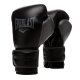 Everlast Powerlock 2r Training Glove, Black