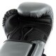 Everlast Powerlock 2r Training Glove, Charcoal