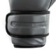 Everlast Powerlock 2r Training Glove, Charcoal