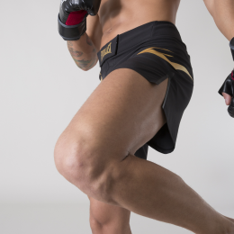 Everlast MMA Shorts Metallic Goud