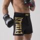 Everlast MMA Shorts Metallic Goud
