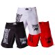 FIGHTNATURE MMA Shorts Shadow White