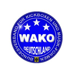 Boxhandschuh Ergo Champ Approved by WAKO DE