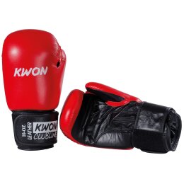 Boxhandschuhe Pointer 10 oz. Echtleder