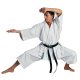 Karate-Gi Legend